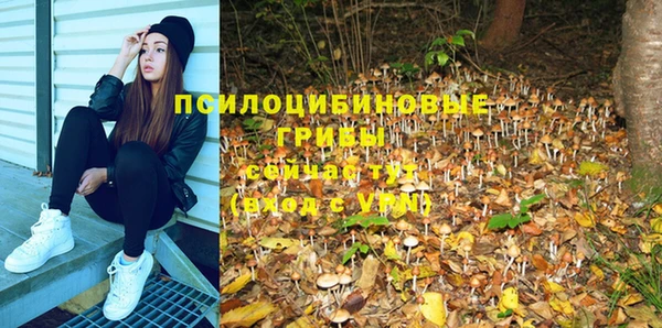 apvp Абдулино