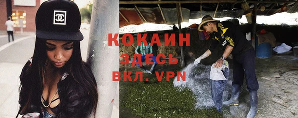 шишки Абинск